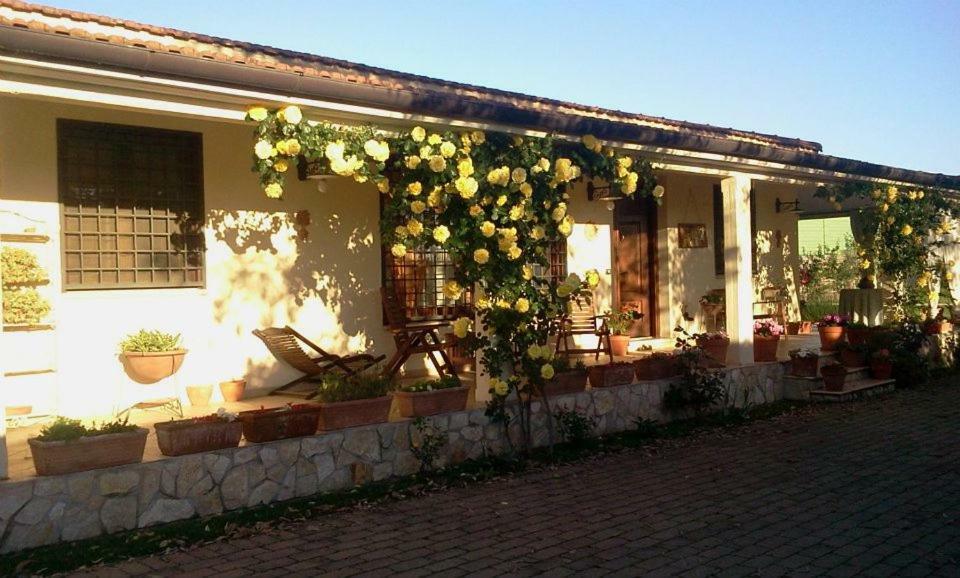 B&B Rolu Formello Exterior foto